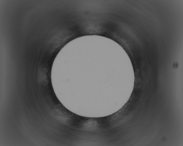 X0000091670162200708301506