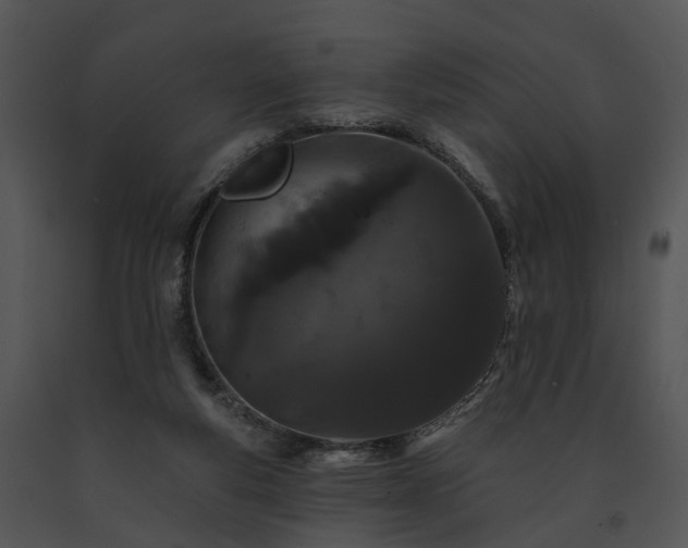 X0000091670163200708301506