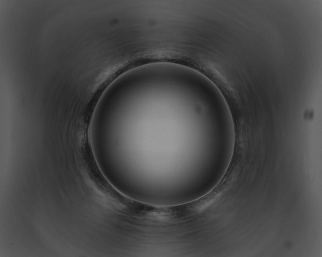 X0000091670164200708301506