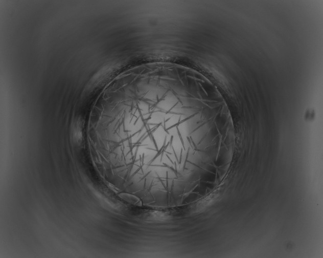 X0000091670166200708301506