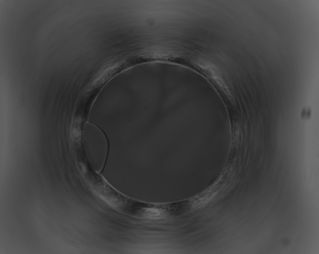 X0000091670167200708301506