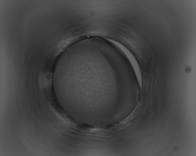X0000091670168200708301507