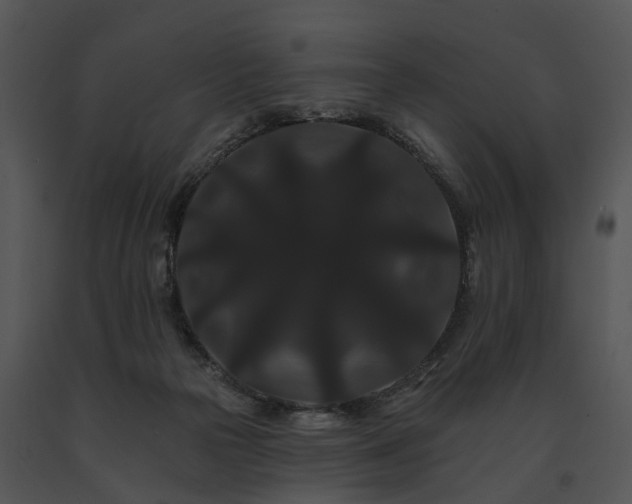 X0000091670169200708301507