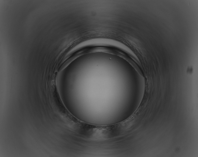 X0000091670172200708301507