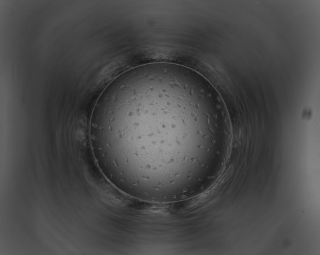 X0000091670175200708301507