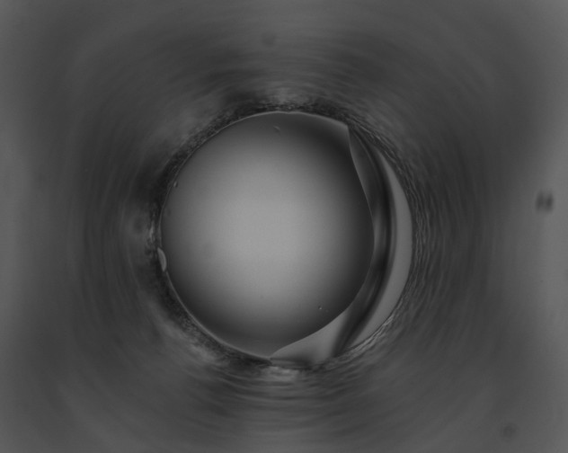 X0000091670176200708301507