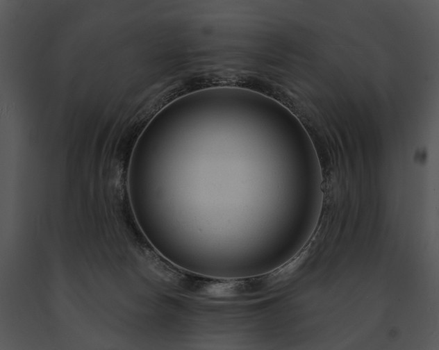 X0000091670178200708301507