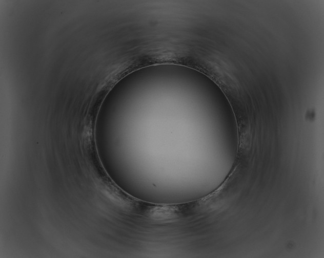 X0000091670179200708301507