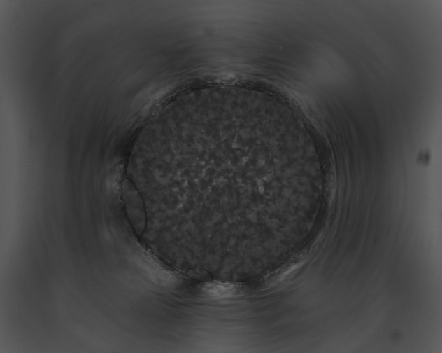 X0000091670181200708301507