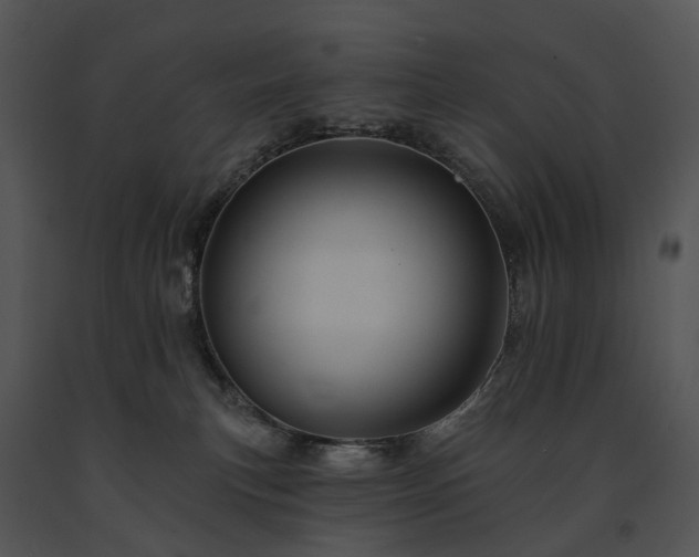X0000091670183200708301507