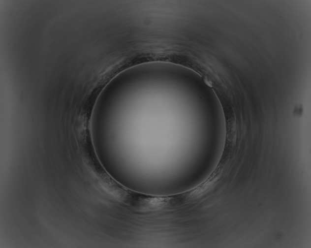 X0000091670184200708301507