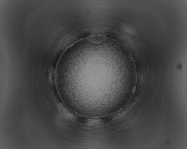 X0000091670185200708301507