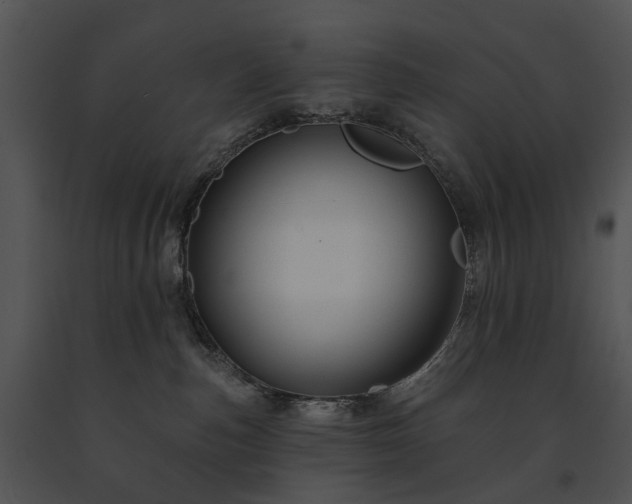 X0000091670187200708301507