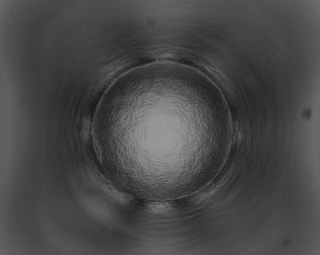 X0000091670189200708301507