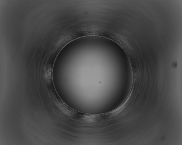 X0000091670190200708301507
