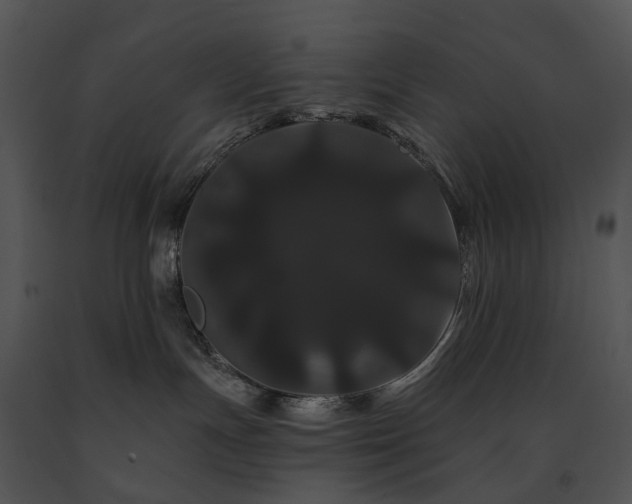 X0000091670191200708301507