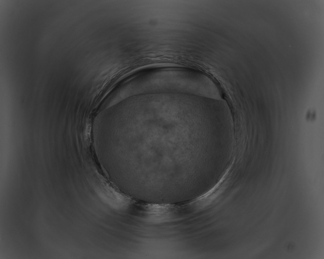 X0000091670192200708301507