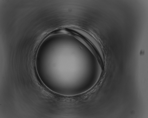 X0000091670193200708301506