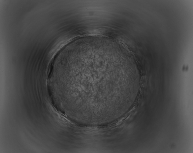 X0000091670194200708301506