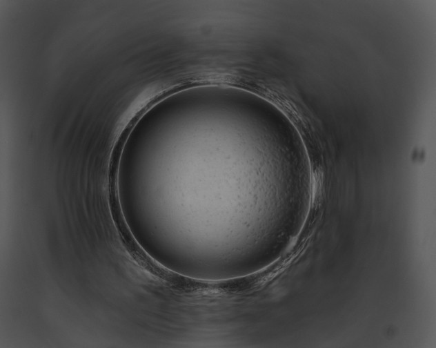 X0000091670195200708301506