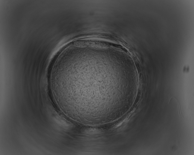 X0000091670198200708301506