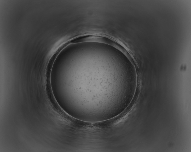 X0000091670199200708301506