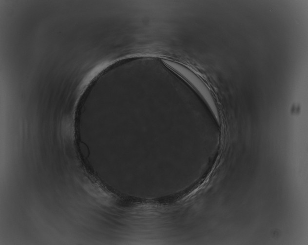 X0000091670200200708301506