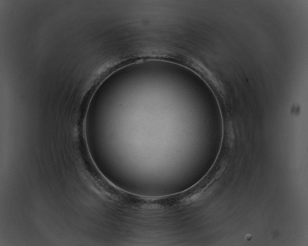 X0000091670203200708301506