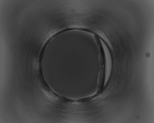 X0000091670204200708301506