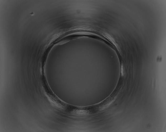 X0000091670205200708301506