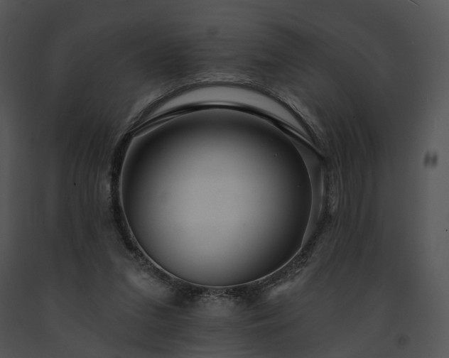 X0000091670207200708301506