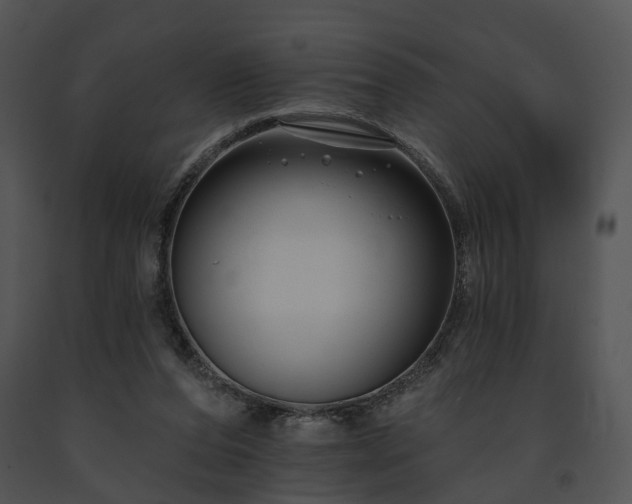 X0000091670208200708301506