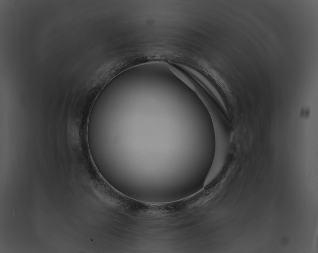 X0000091670209200708301506
