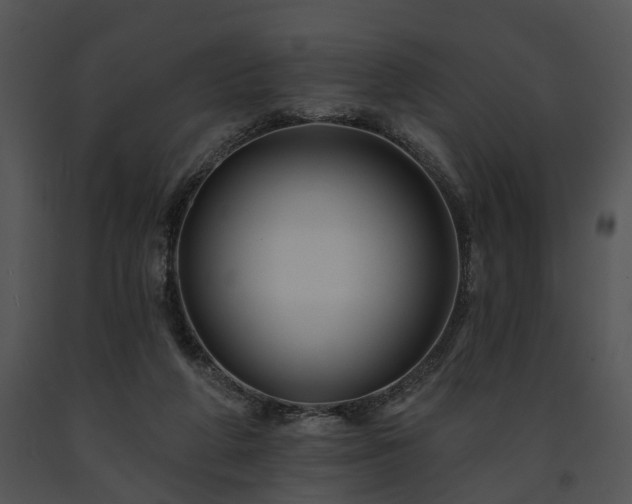 X0000091670210200708301506