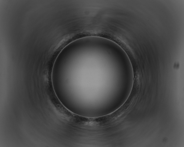 X0000091670212200708301506