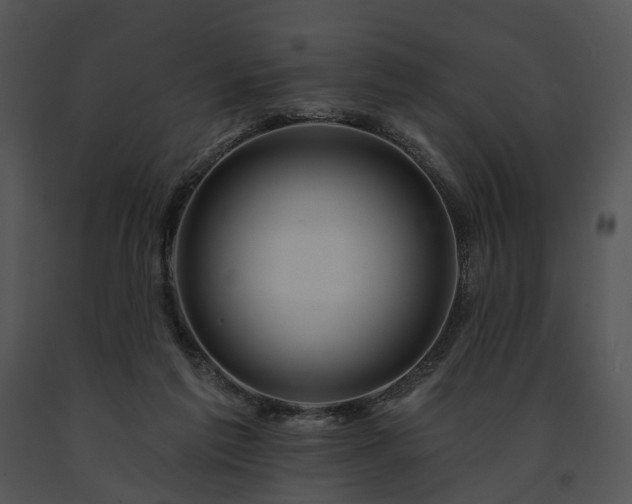 X0000091670213200708301506