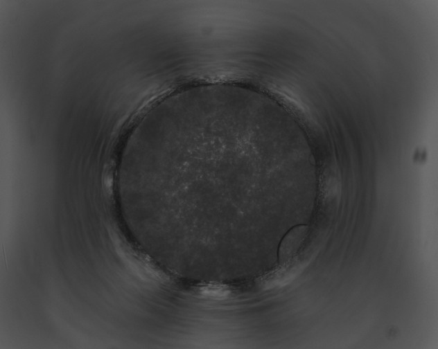 X0000091670214200708301506