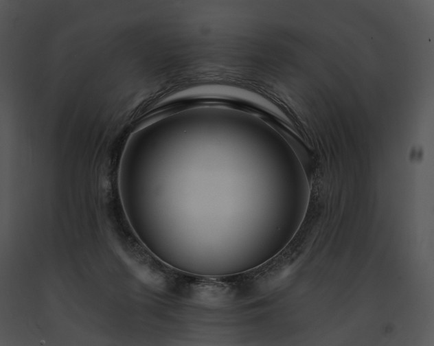 X0000091670215200708301506
