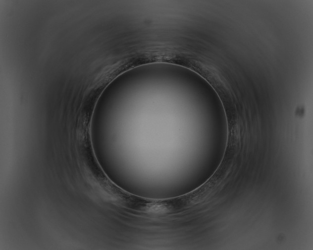 X0000091670218200708301506