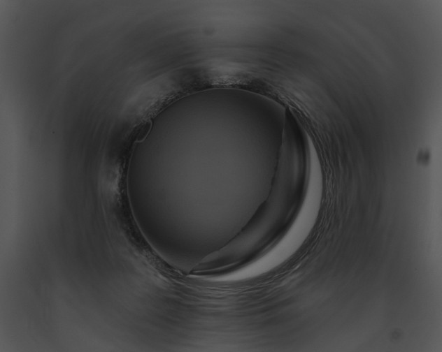 X0000091670219200708301506