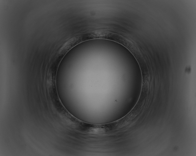 X0000091670220200708301506