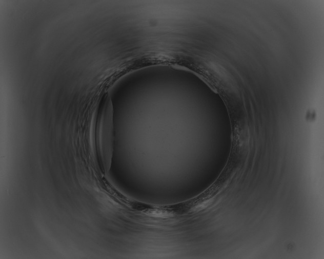 X0000091670223200708301506