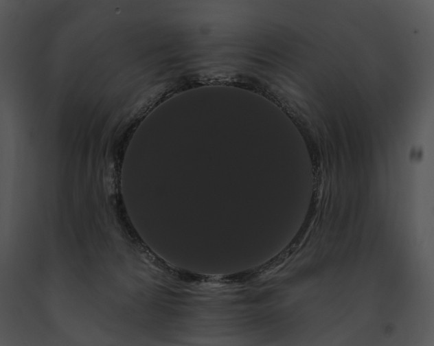X0000091670224200708301506