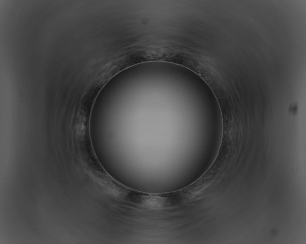X0000091670226200708301506