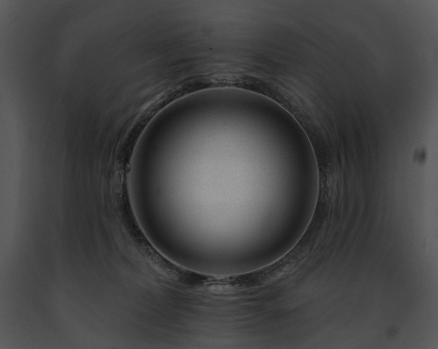 X0000091670228200708301506