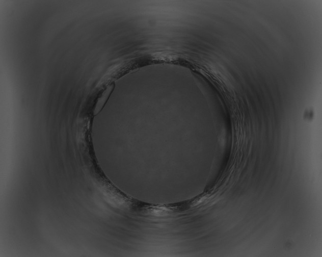 X0000091670229200708301506