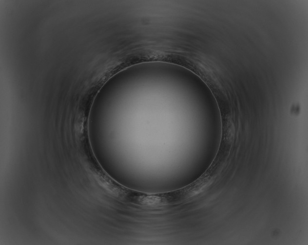 X0000091670230200708301506