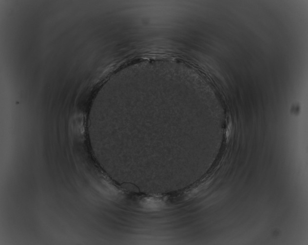 X0000091670232200708301506