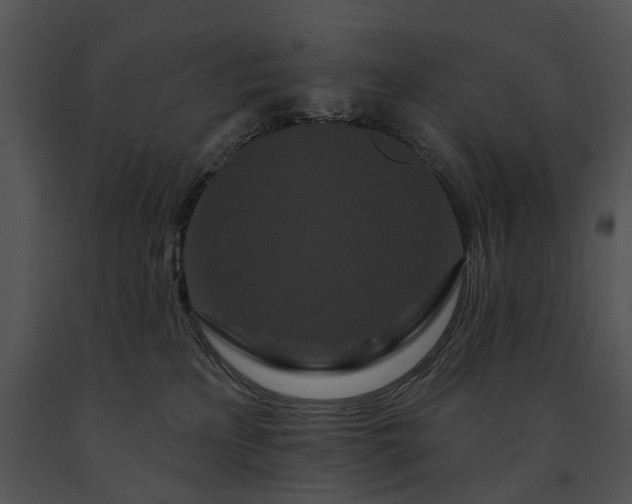X0000091670233200708301506