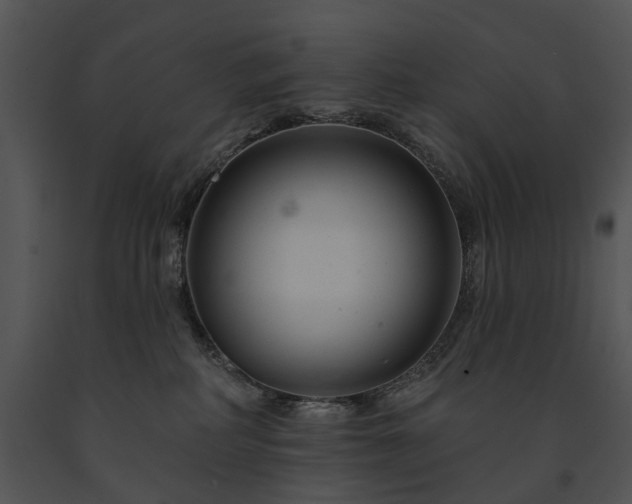 X0000091670234200708301506
